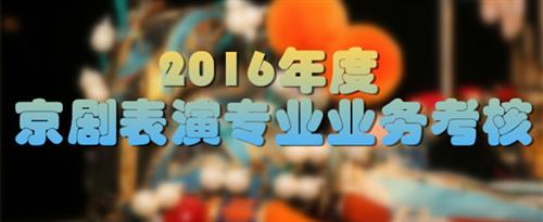 www骚逼.com国家京剧院2016年度京剧表演专业业务考...